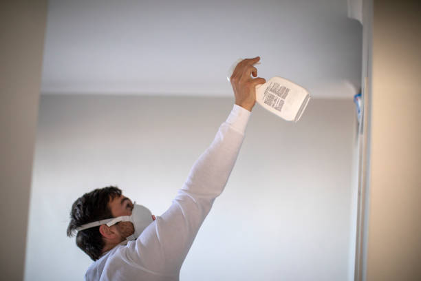 Best Mold Remediation  in Marshfield, WI