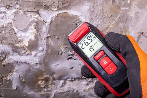 Best Affordable Mold Removal  in Marshfield, WI