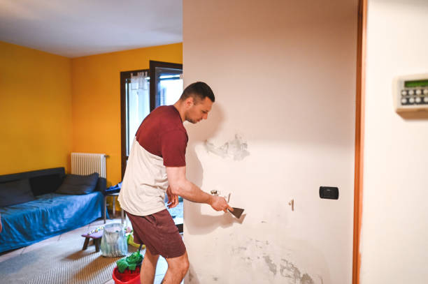 Best Same-Day Mold Removal  in Marshfield, WI