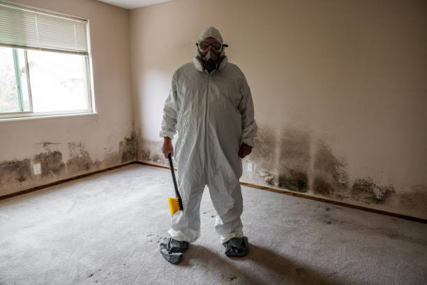 Best Mold Removal Specialists  in Marshfield, WI
